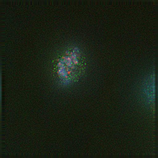  NCBI Organism:Gallus gallus gallus; Cell Types:memory B cell Cell Components:nuclear chromosome, spindle, chromosome, centromeric region; Biological process:mitosis