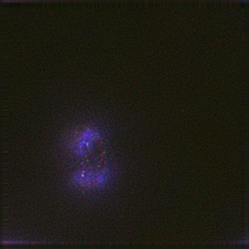  NCBI Organism:Gallus gallus gallus; Cell Types:memory B cell Cell Components:nuclear chromosome, spindle, chromosome, centromeric region; Biological process:mitosis