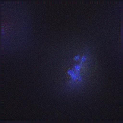  NCBI Organism:Gallus gallus gallus; Cell Types:memory B cell Cell Components:nuclear chromosome, spindle, chromosome, centromeric region; Biological process:mitosis