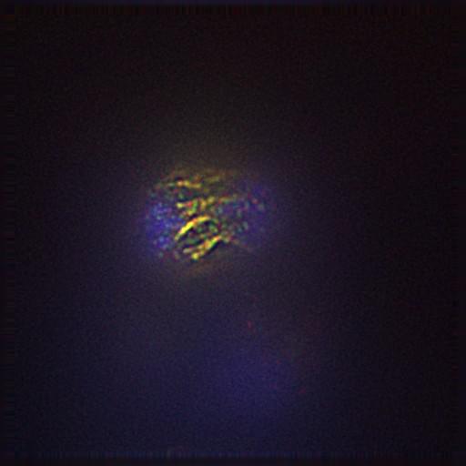  NCBI Organism:Gallus gallus gallus; Cell Types:memory B cell Cell Components:nuclear chromosome, spindle, chromosome, centromeric region; Biological process:mitosis