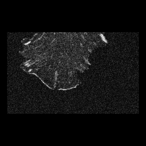  NCBI Organism:Mus musculus; Cell Types:fibroblast Cell Components:cell leading edge, focal adhesion, cytoskeleton; Biological process:regulation of actin cytoskeleton organization