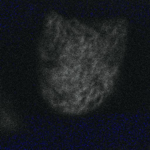  NCBI Organism:Arabidopsis thaliana; Cell Components:actin cytoskeleton Biological process:morphogenesis of a polarized epithelium, morphogenesis of a branching structure, embryonic shoot morphogenesis;