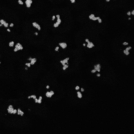  NCBI Organism:Homo sapiens; Cell Components:preribosome, small subunit precursor Biological process:maturation of SSU-rRNA