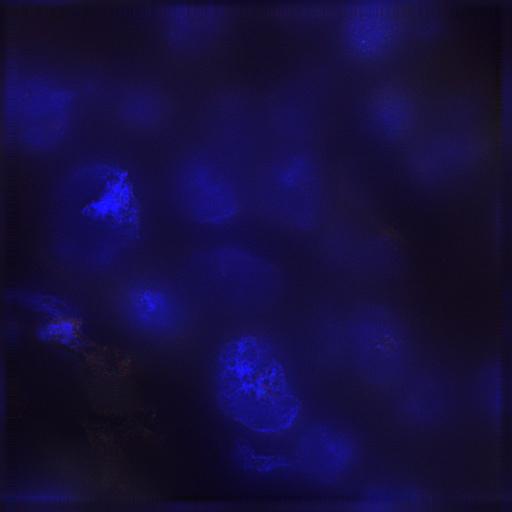  NCBI Organism:Homo sapiens; Cell Components:nuclear chromatin