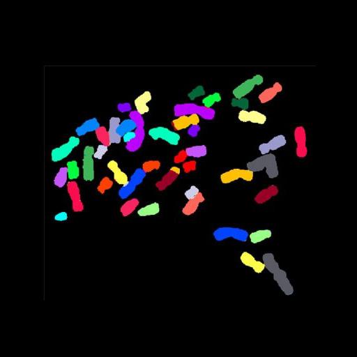  NCBI Organism:Homo sapiens; Cell Components:nuclear chromosome Biological process:, mitotic metaphase;