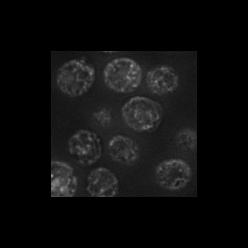  NCBI Organism:Saccharomyces cerevisiae S288c; Cell Components:integral to Golgi membrane, extrinsic to membrane, Golgi apparatus, cytosol, nucleus, integral to endoplasmic reticulum membrane, endoplasmic reticulum, nuclear inner membrane; Biological process:retrograde vesicle-mediated transport, Golgi to ER, protein localization in Golgi apparatus, protein transport, phosphatidylinositol dephosphorylation, protein folding;