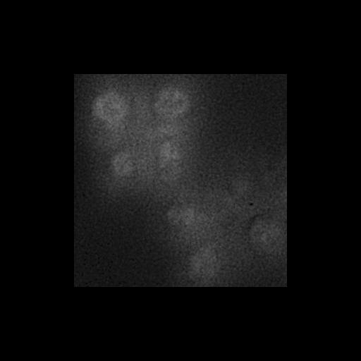  NCBI Organism:Saccharomyces cerevisiae S288c; Cell Components:Golgi apparatus, cytosol, extrinsic to membrane, nucleus, integral to endoplasmic reticulum membrane, integral to Golgi membrane, endoplasmic reticulum; Biological process:retrograde vesicle-mediated transport, Golgi to ER, protein localization in Golgi apparatus, protein transport, phosphatidylinositol dephosphorylation;