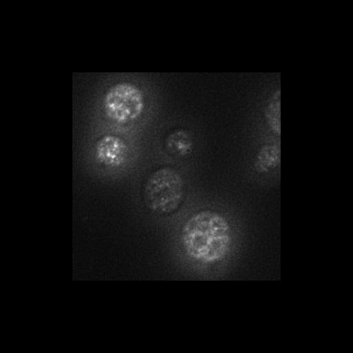  NCBI Organism:Saccharomyces cerevisiae S288c; Cell Components:Golgi apparatus, cytosol, extrinsic to membrane, nucleus, integral to endoplasmic reticulum membrane, integral to Golgi membrane; Biological process:retrograde vesicle-mediated transport, Golgi to ER, protein localization in Golgi apparatus, protein transport, phosphatidylinositol dephosphorylation;