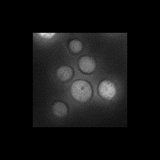  NCBI Organism:Saccharomyces cerevisiae S288c; Cell Components:Golgi apparatus, cytosol, extrinsic to membrane, nucleus, integral to endoplasmic reticulum membrane, integral to Golgi membrane; Biological process:retrograde vesicle-mediated transport, Golgi to ER, protein localization in Golgi apparatus, protein transport, phosphatidylinositol dephosphorylation;