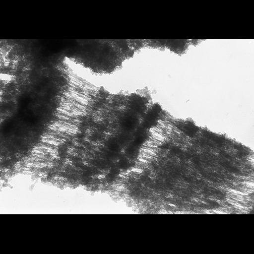  NCBI Organism:Drosophila melanogaster; Cell Types:fat body cell Cell Components:polytene chromosome