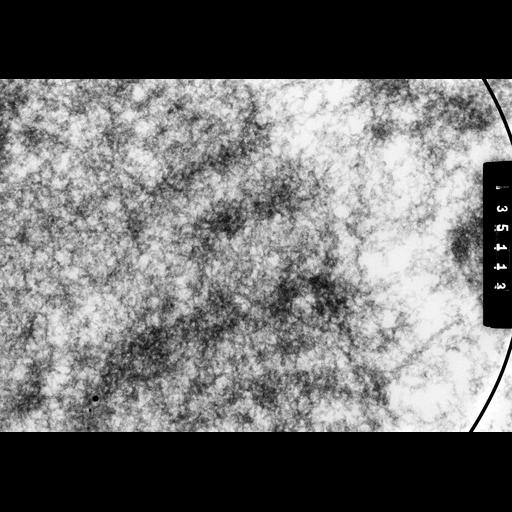  NCBI Organism:Drosophila melanogaster; Cell Components:polytene chromosome