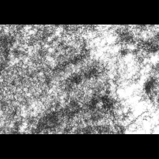  NCBI Organism:Drosophila melanogaster; Cell Components:polytene chromosome