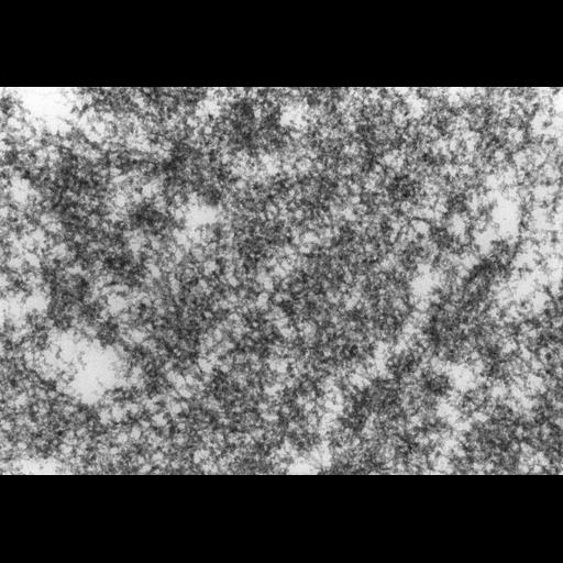  NCBI Organism:Drosophila melanogaster; Cell Components:polytene chromosome