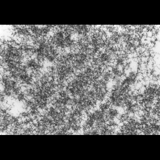  NCBI Organism:Drosophila melanogaster; Cell Components:polytene chromosome