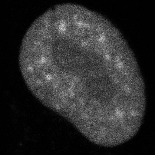  NCBI Organism:Homo sapiens; Cell Components:, , spliceosomal complex; Biological process:, RNA metabolic process;