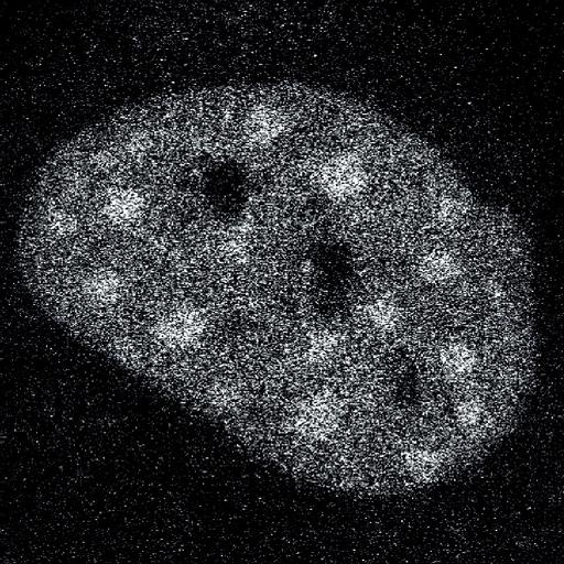  NCBI Organism:Homo sapiens; Cell Components:, , spliceosomal complex; Biological process:, RNA metabolic process;