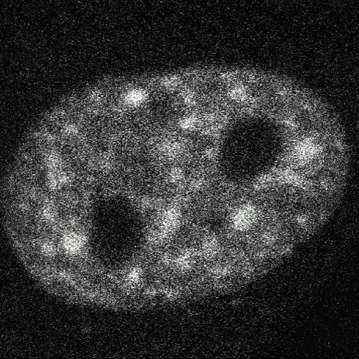  NCBI Organism:Homo sapiens; Cell Components:, , spliceosomal complex; Biological process:, RNA metabolic process;