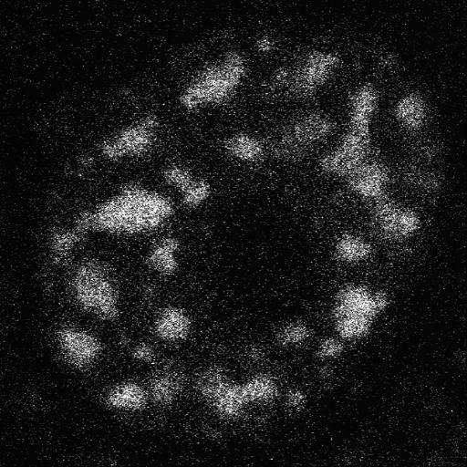  NCBI Organism:Homo sapiens; Cell Components:, , spliceosomal complex; Biological process:, RNA metabolic process;