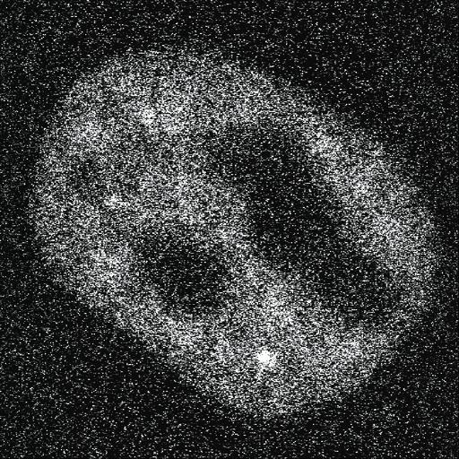  NCBI Organism:Homo sapiens; Cell Components:, , spliceosomal complex; Biological process:, RNA metabolic process;