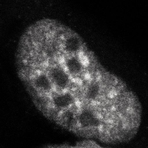  NCBI Organism:Homo sapiens; Cell Components:, , spliceosomal complex; Biological process:, RNA metabolic process;