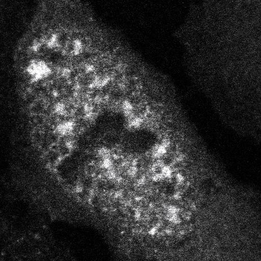  NCBI Organism:Homo sapiens; Cell Components:, , spliceosomal complex; Biological process:, RNA metabolic process;