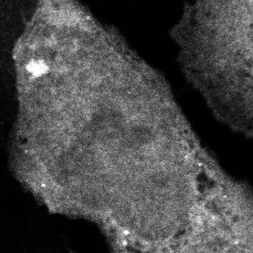  NCBI Organism:Homo sapiens; Cell Components:, , spliceosomal complex; Biological process:, RNA metabolic process;