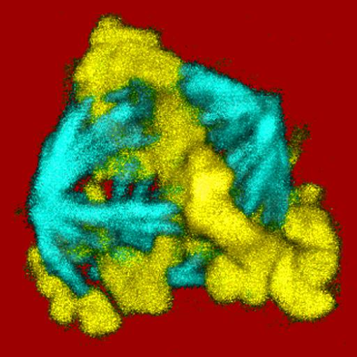  NCBI Organism:Homo sapiens; Cell Types:hepatocyte Cell Components:chromosome, spindle microtubule; Biological process:mitotic metaphase, cytokinesis, chromosome segregation, chromosome organization;