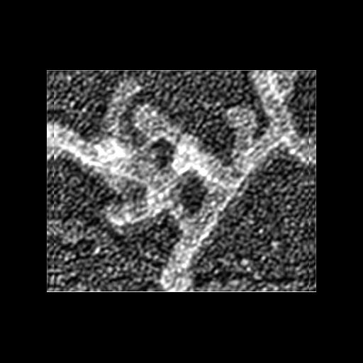  Cell Components:actin cytoskeleton Biological process:, , actin filament organization;