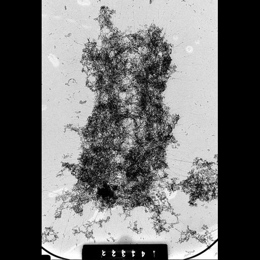  NCBI Organism:Homo sapiens; Cell Components:condensed chromosome Biological process:nuclear division