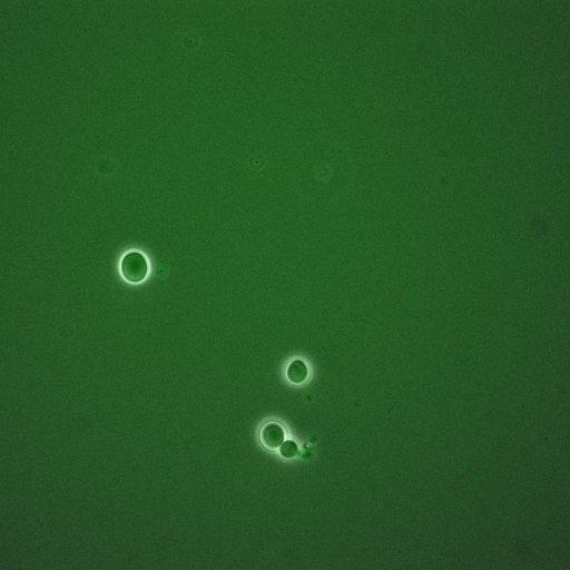  NCBI Organism:Saccharomyces cerevisiae; Cell Components:, cyclin-dependent protein kinase holoenzyme complex; Biological process:regulation of cyclin-dependent protein kinase activity, re-entry into mitotic cell cycle after pheromone arrest;