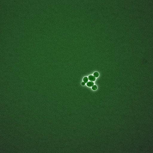  NCBI Organism:Saccharomyces cerevisiae; Biological process:, establishment of protein localization;