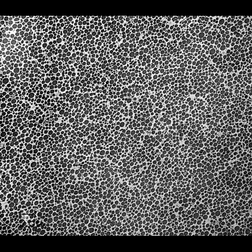  NCBI Organism:Bos taurus; Cell Components:zymogen granule