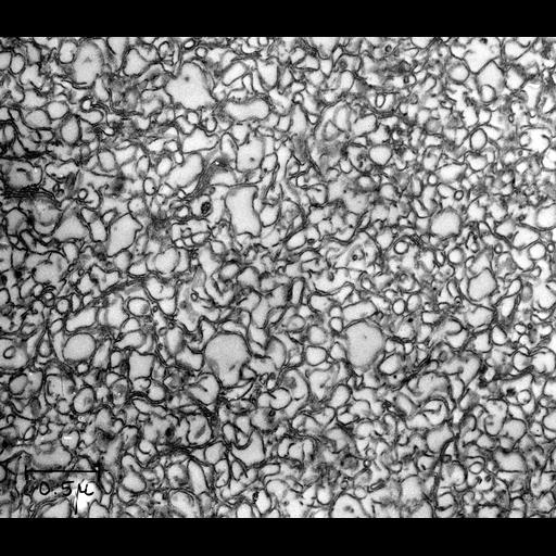  NCBI Organism:Bos taurus; Cell Components:zymogen granule