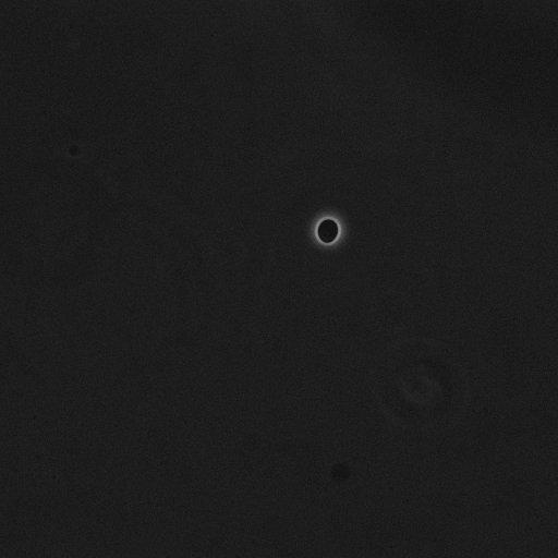  NCBI Organism:Saccharomyces cerevisiae; Cell Components:cell surface Biological process:cell cycle checkpoint, cell budding, regulation of cell budding;