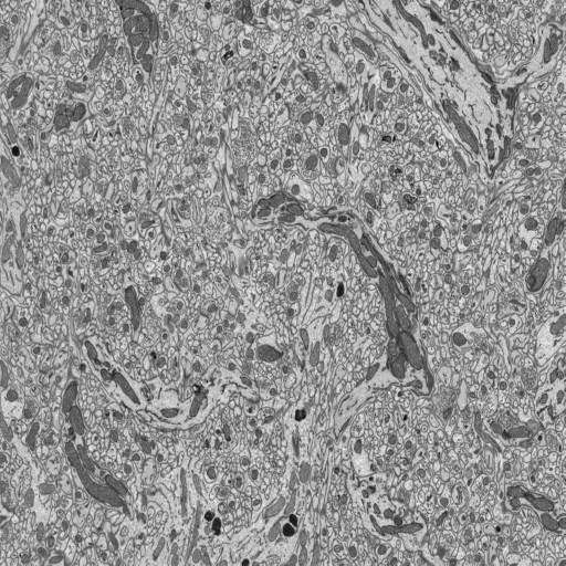  NCBI Organism:Mus musculus; Cell Types:astrocyte of the cerebellum, CNS neuron (sensu Vertebrata); Cell Components:synapse, axon part, dendrite; Biological process:cerebellum structural organization