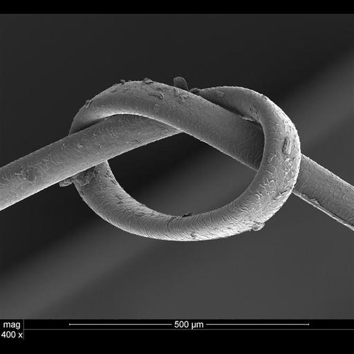  NCBI Organism:Homo sapiens; Cell Components:cell surface, keratin filament; Biological process:anatomical structure arrangement