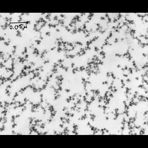  NCBI Organism:Rattus rattus; Cell Types:hepatocyte Cell Components:rough endoplasmic reticulum, polysome;