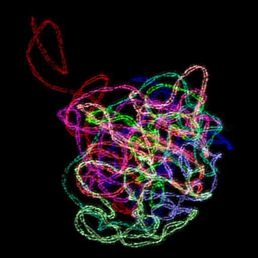  Cell Components:synaptonemal complex Biological process:meiosis