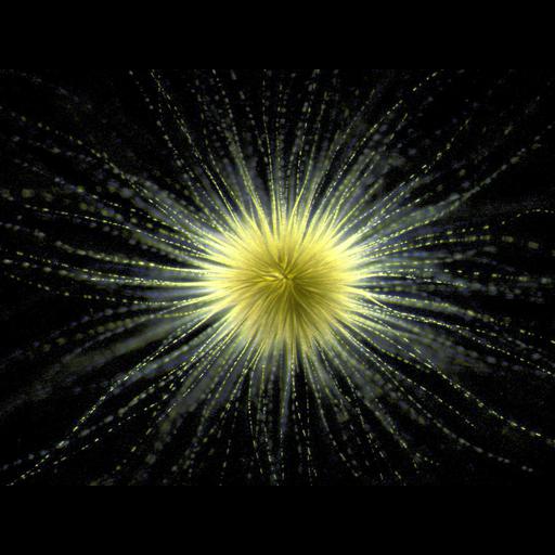  NCBI Organism:Gloeotrichia; Cell Components:cell surface