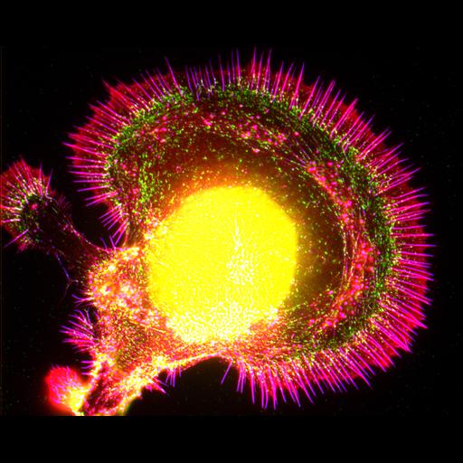  NCBI Organism:Aplysia; Cell Types:neuron Cell Components:growth cone, actin cytoskeleton, female germ cell nucleus; Biological process:axon regeneration