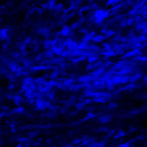  NCBI Organism:Mus musculus, ; Cell Types:; Biological process:;