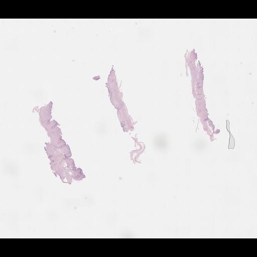  NCBI Organism:Homo sapiens, ; Biological process:;