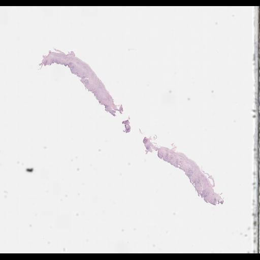  NCBI Organism:Homo sapiens, ; Biological process:;