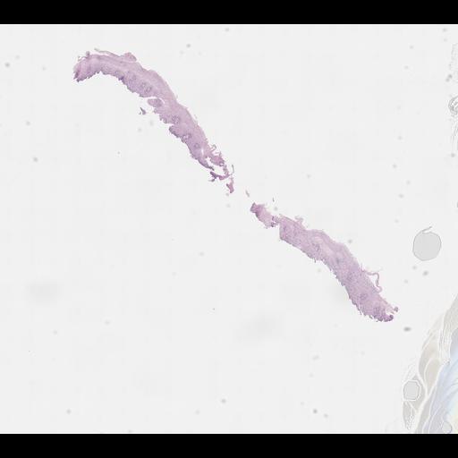  NCBI Organism:Homo sapiens, ; Biological process:;