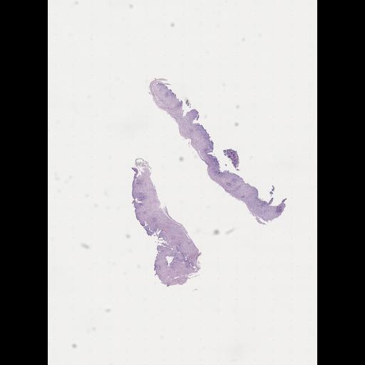  NCBI Organism:Homo sapiens, ; Biological process:;