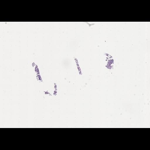  NCBI Organism:Homo sapiens, ; Biological process:;