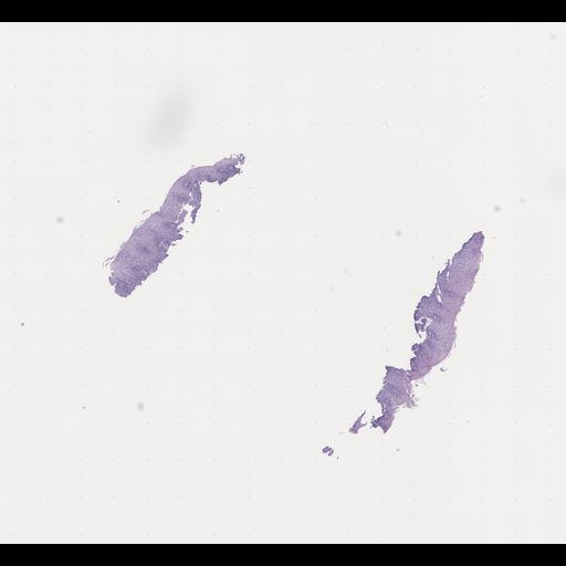  NCBI Organism:Homo sapiens, ; Biological process:;