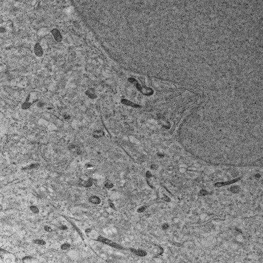  NCBI Organism:, ; Cell Types:; Cell Components:; Biological process:;