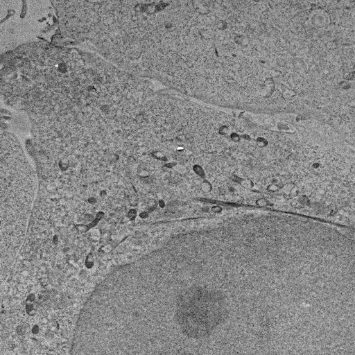  NCBI Organism:, ; Cell Types:; Cell Components:; Biological process:;