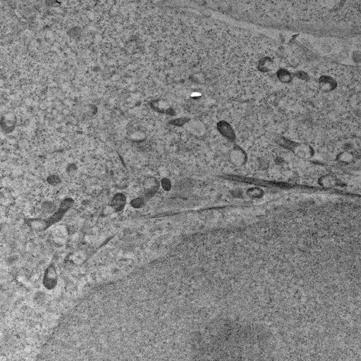  NCBI Organism:, ; Cell Types:; Cell Components:; Biological process:;